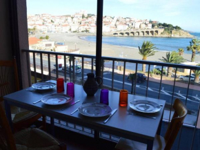 Appartement 3 pièces, central, proche plage, 6 couchages, vue mer, lave-vaisselle, animaux admis - FR-1-225C-318